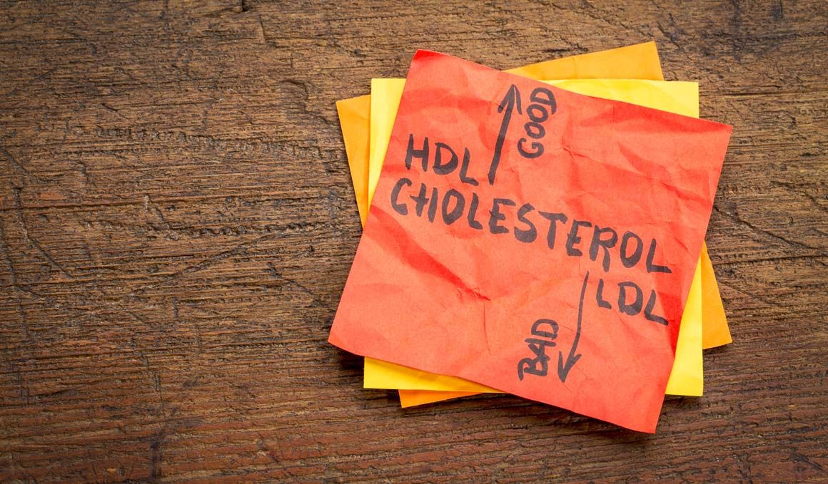 Te desvelamos qué es el colesterol HDL y cuándo se considera colesterol alto