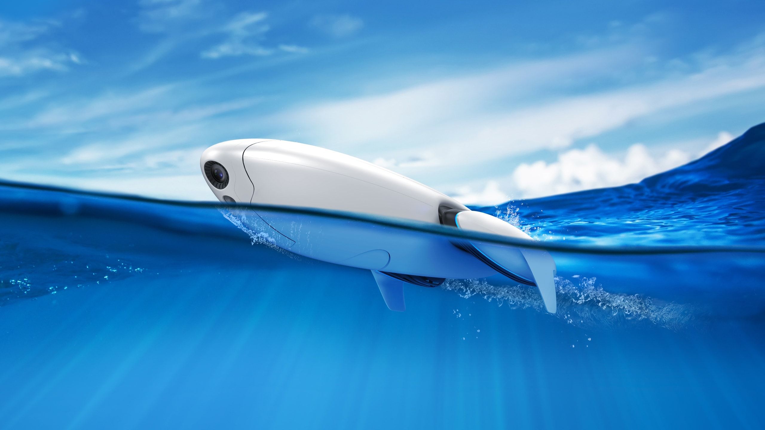 Powe Dolphin