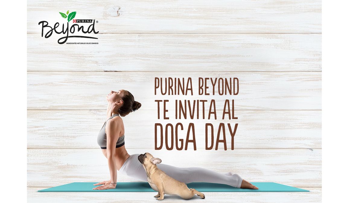 Purina organiza la primera Masterclass de Yoga con perros con más de 100 yoguis