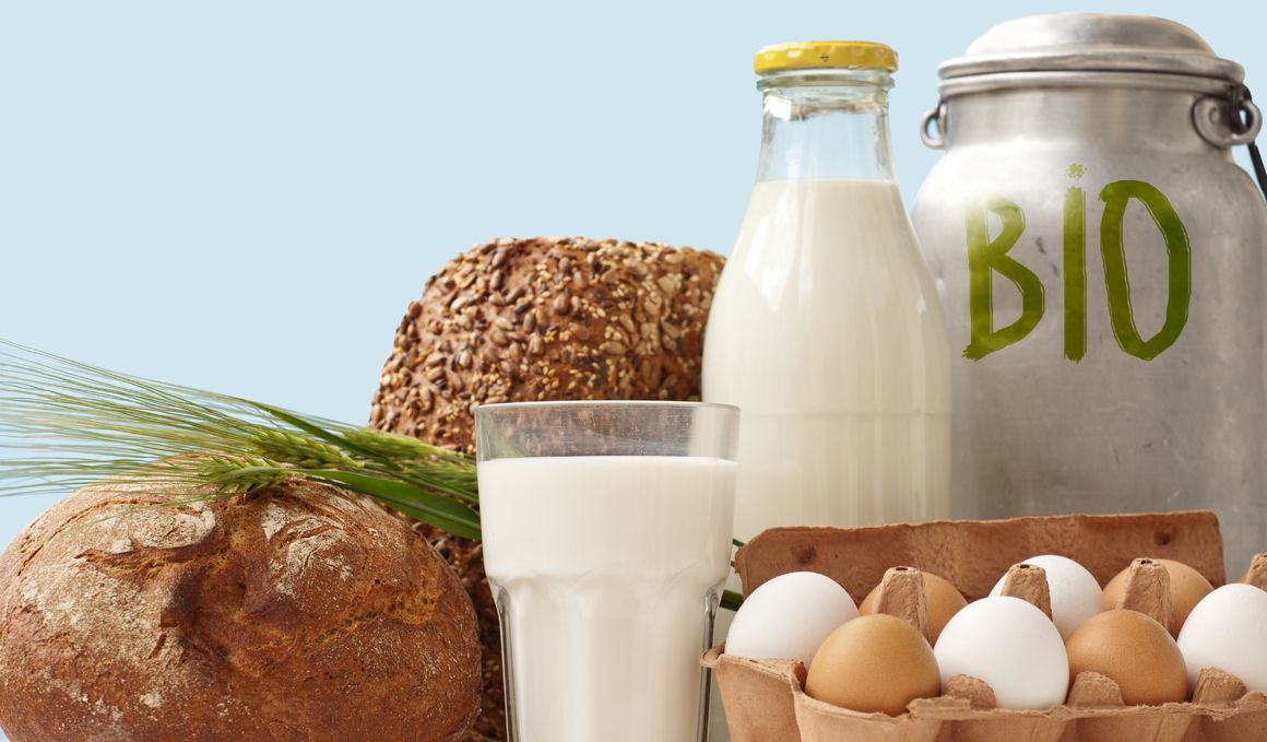 Diferencias entre alimentos ecológicos, orgánicos y bio, ¡te las explicamos!