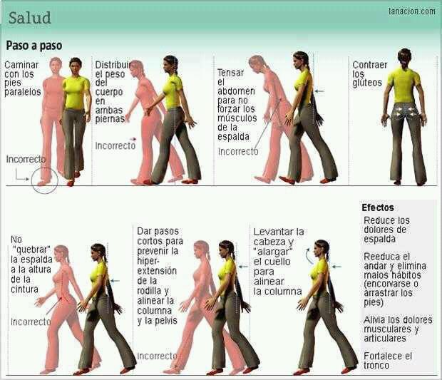 Los 7 puntos clave para un caminante perfecto