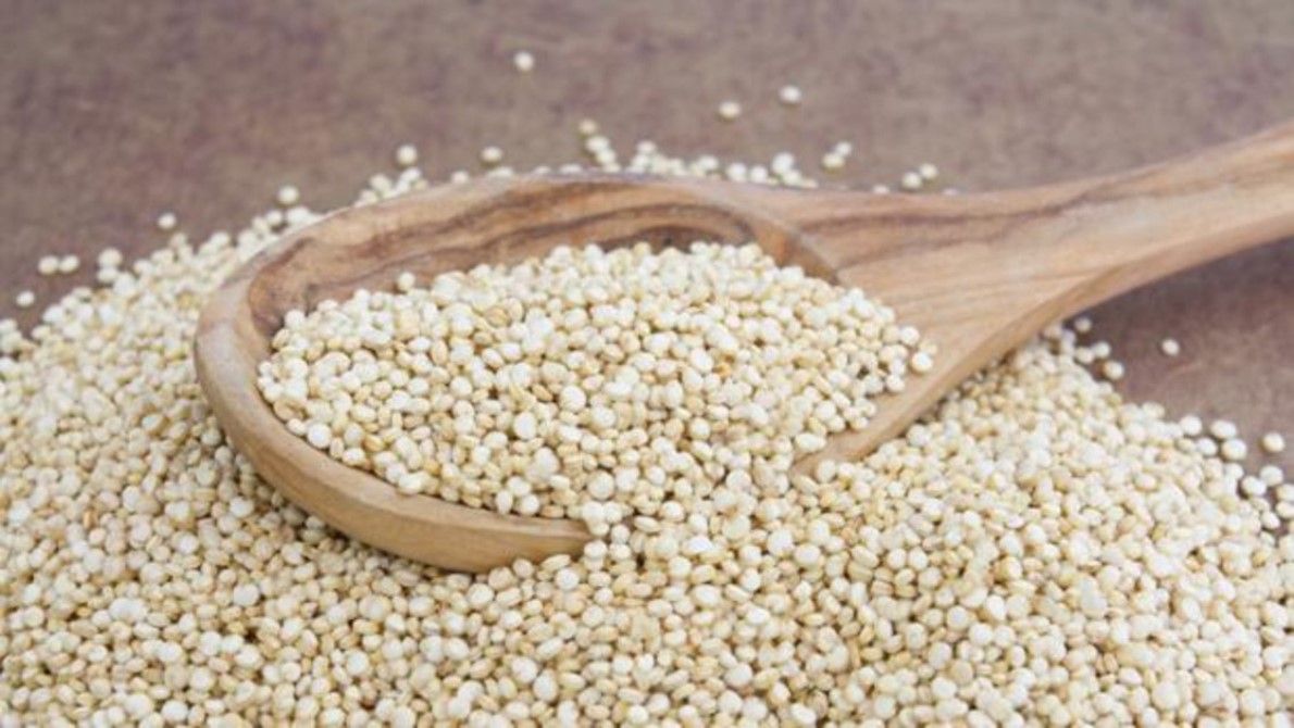 ¿Qué riesgo tiene tomar la quinoa sin lavar?