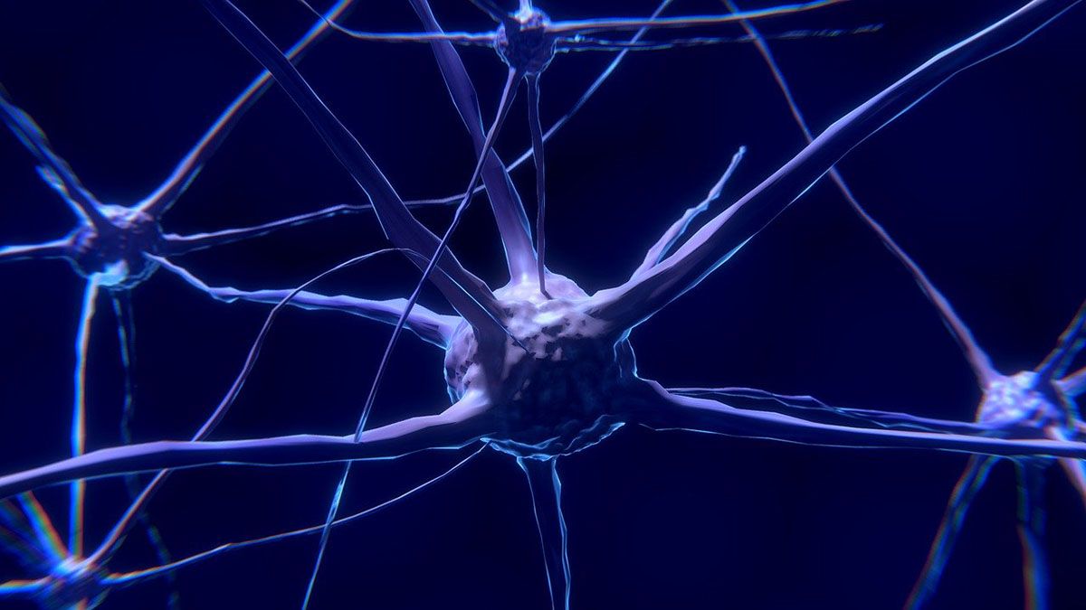 La mielitis transversa que ha paralizado la vacuna de Oxford