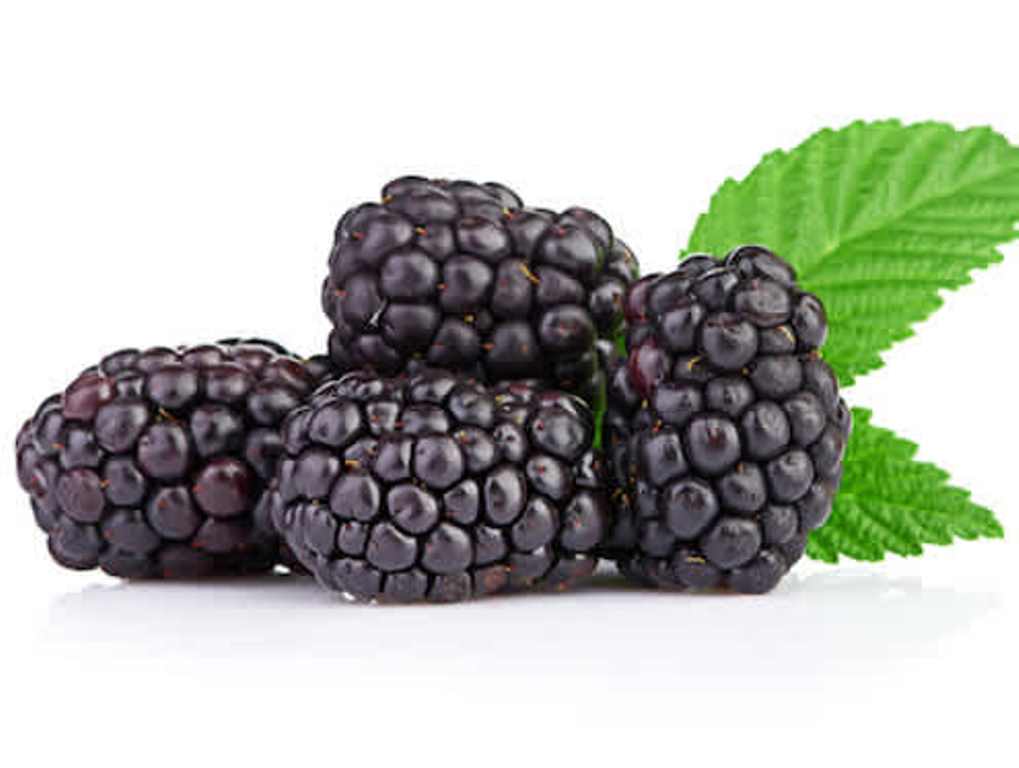 Las moras y otros 7 alimentos que protegen nuestro cerebro