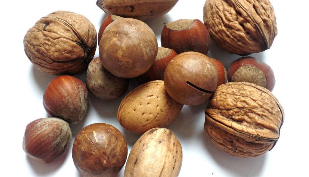 Nueces y avellanas Nueces y avellanas