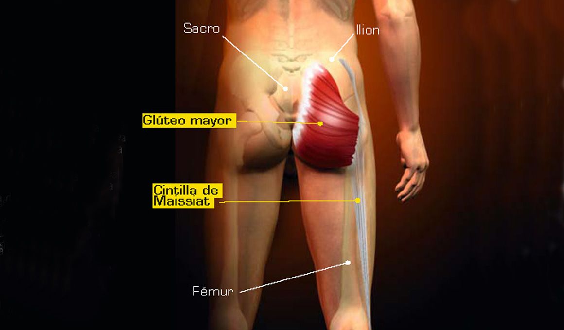 Estiramientos para los glúteos
