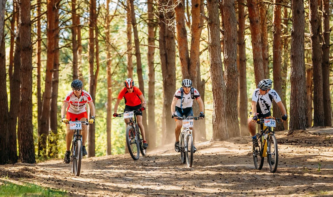 Aprende a elegir bici
