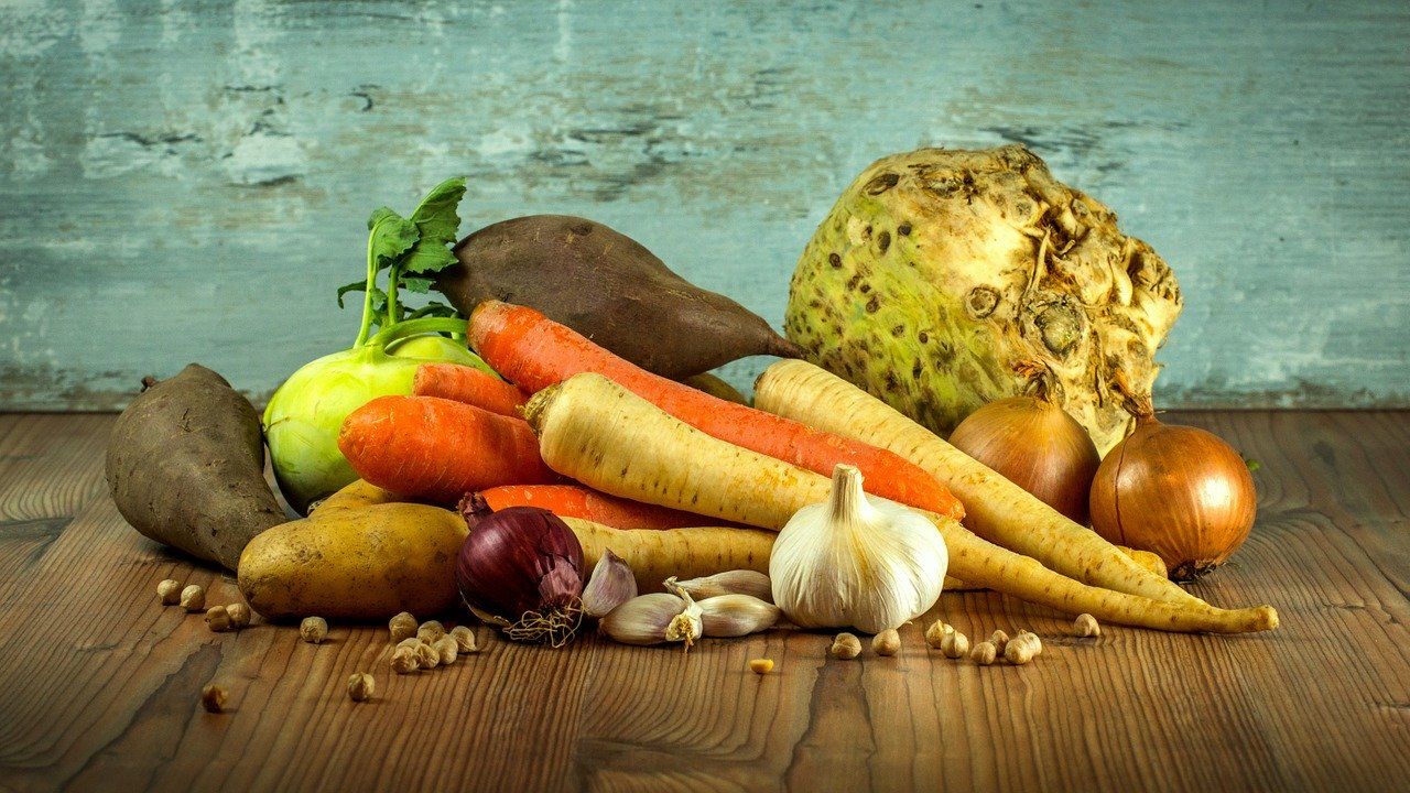 El abc de la nutrición deportiva