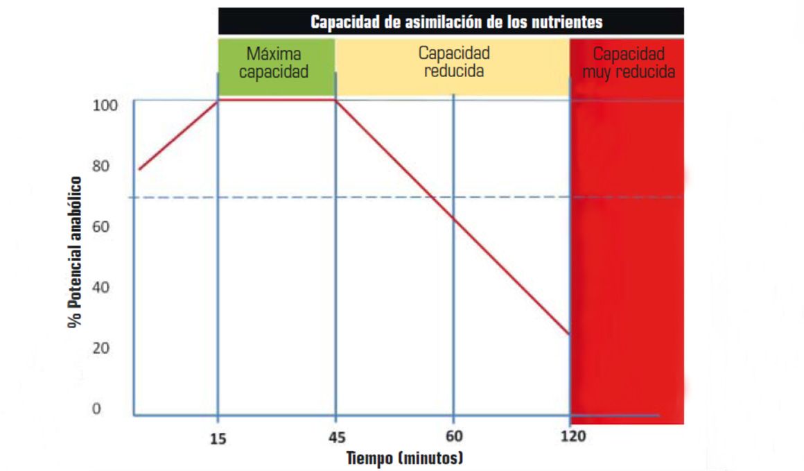 Así funciona la ventana metabólica