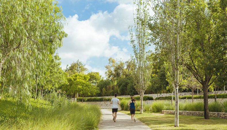 Parques y jardines Parques y jardines