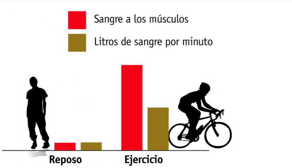 Sin título 1 Sin título 1
