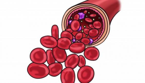 sangre thumb e sangre thumb e