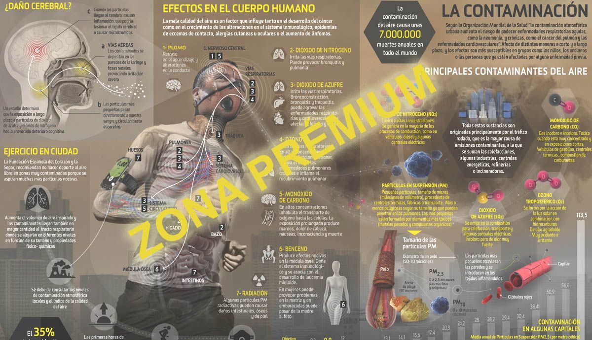 La contaminación y el efecto sobre el cuerpo humano