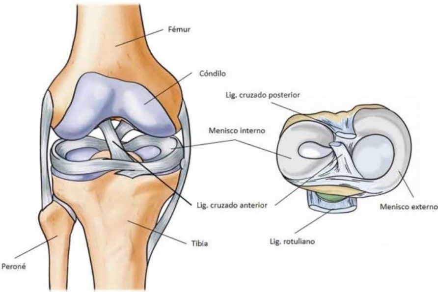 Ejercicios para prevenir problemas en la rodilla