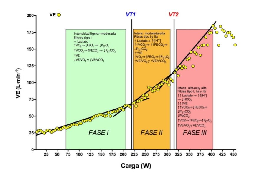 Modelo trifásico de intensidad entrenamiento