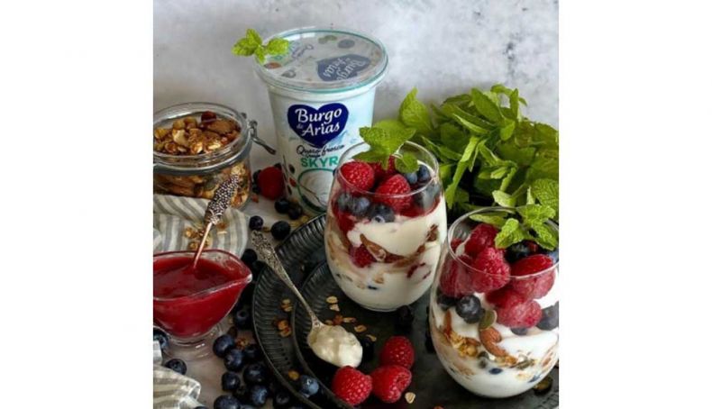 skyr receta skyr receta