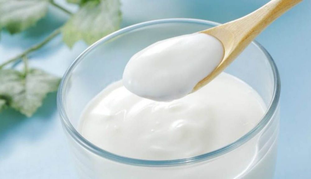 10 alimentos bajar azucar en sangre yogur 10 alimentos bajar azucar en sangre yogur