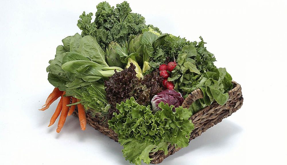 verduras ecologicas verduras ecologicas