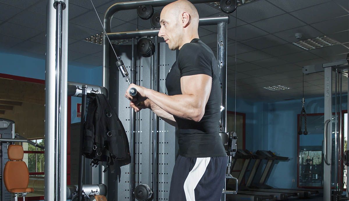 Desarrollo muscular