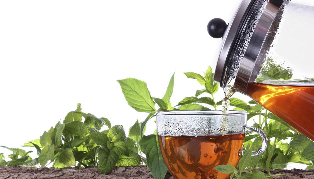 Plantas medicinales