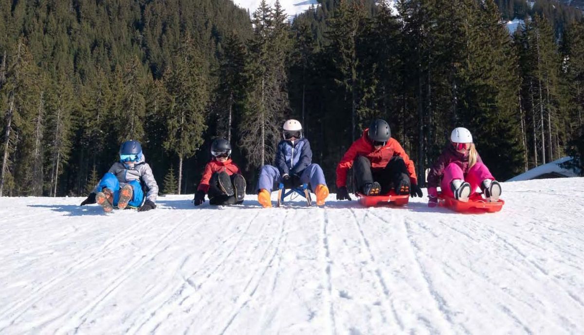 trineo trilugik trineo trilugik