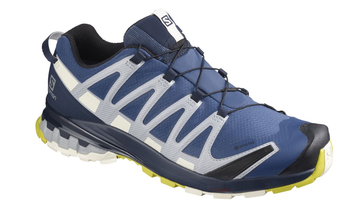 Salomon XA PRO v8 GTX