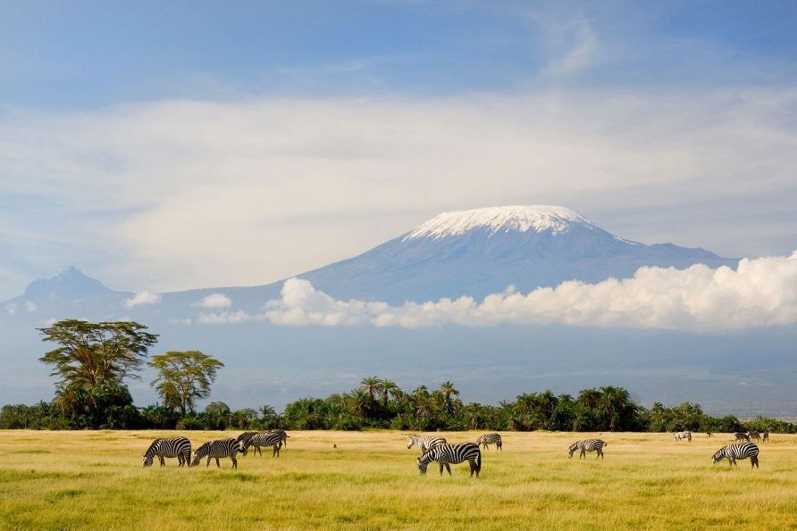 Haz realidad el sueño de llegar al techo de Africa
