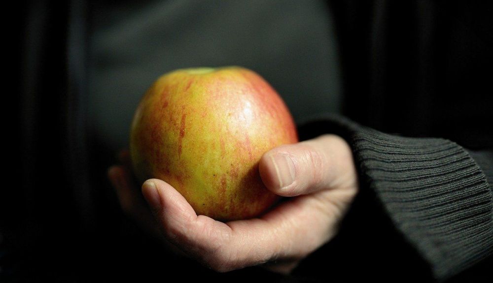 apple 5391076 1280 apple 5391076 1280