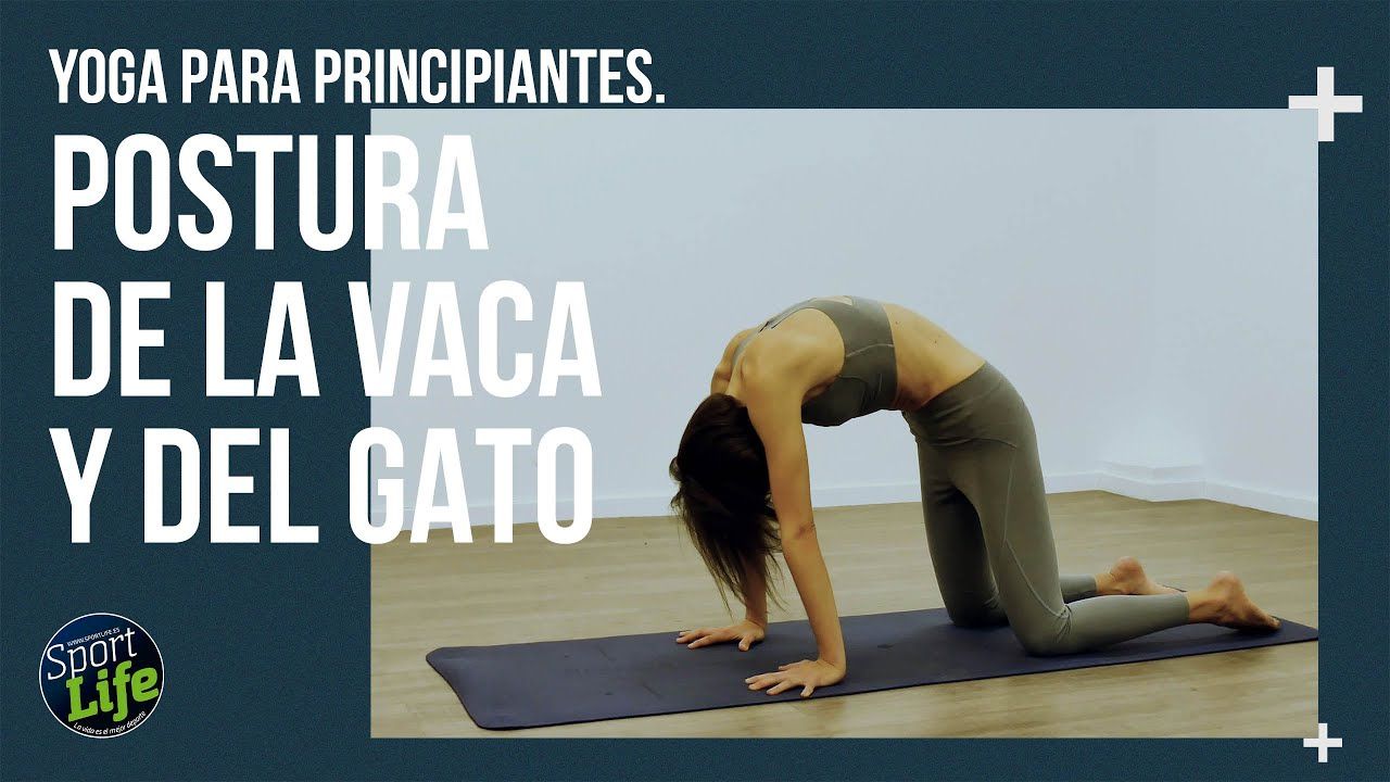 Bitilasana y Marjaryasana o Postura de la Vaca y del Gato