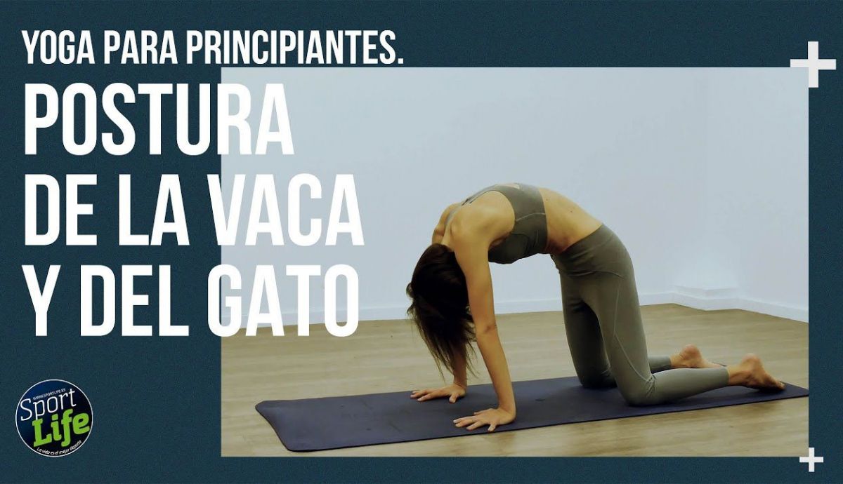 vacagato vacagato