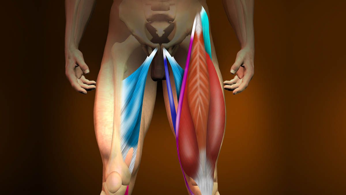 Fortalecer y estirar los cuádriceps