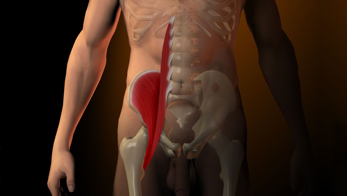 Fortalecer y estirar el psoas ilíaco