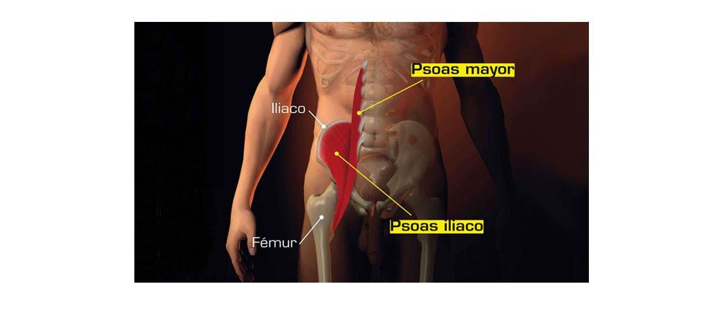 Psoas
