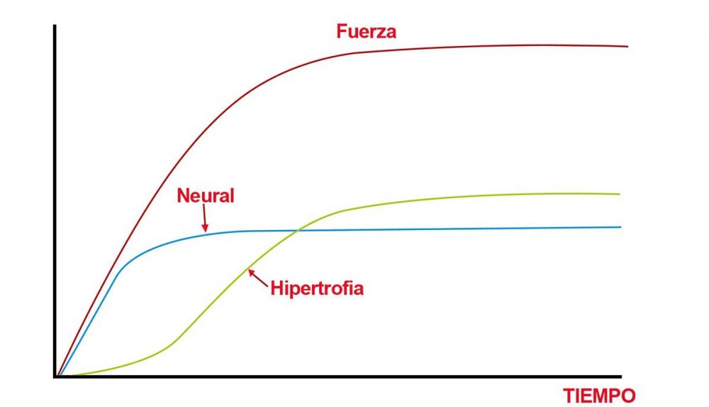 Grafico 1