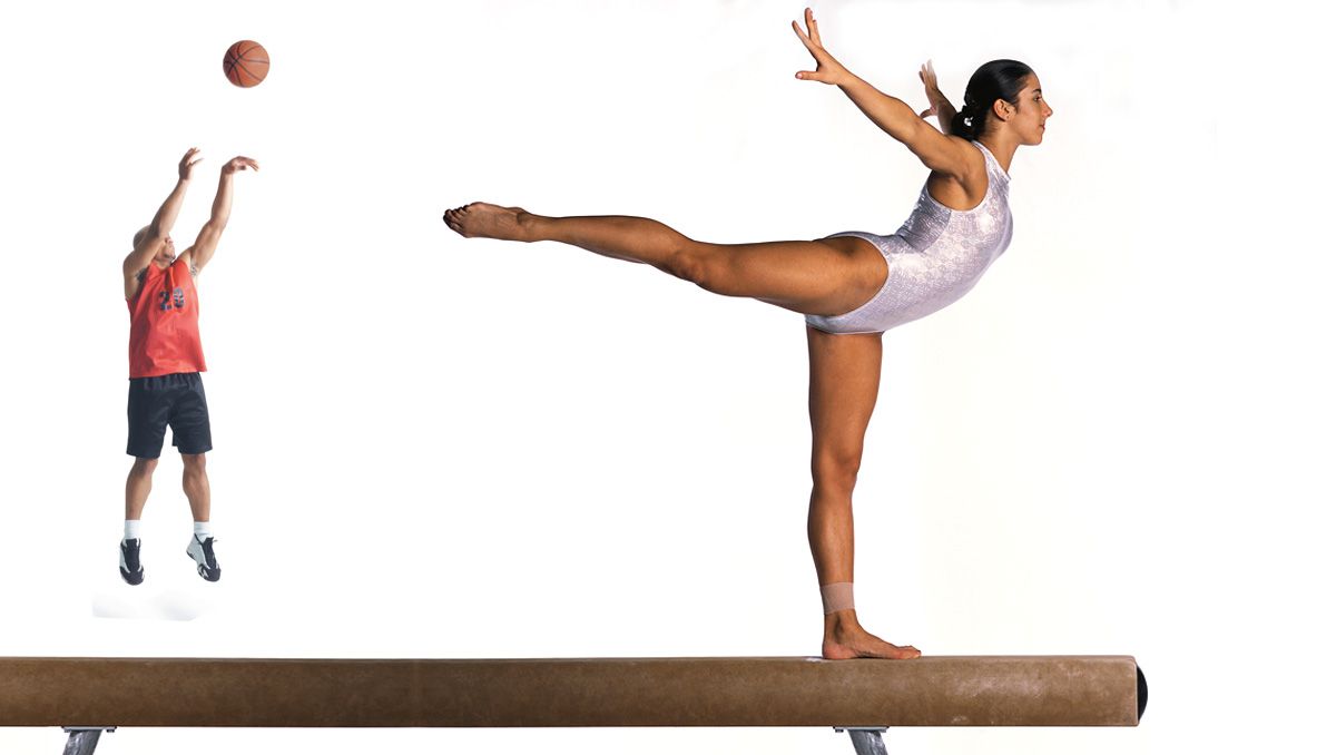 El cuerpo del deportista 6 receptores sensoriales propiocepción y equilibrio