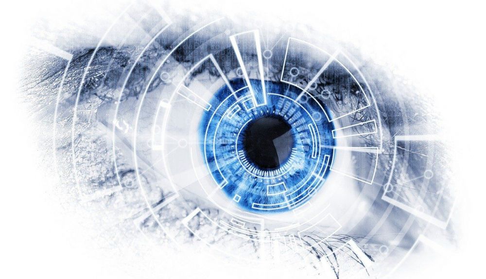 el ojo