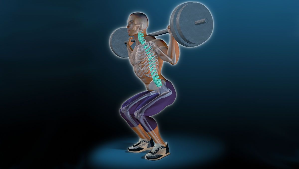 El cuerpo del deportista la columna vertebral