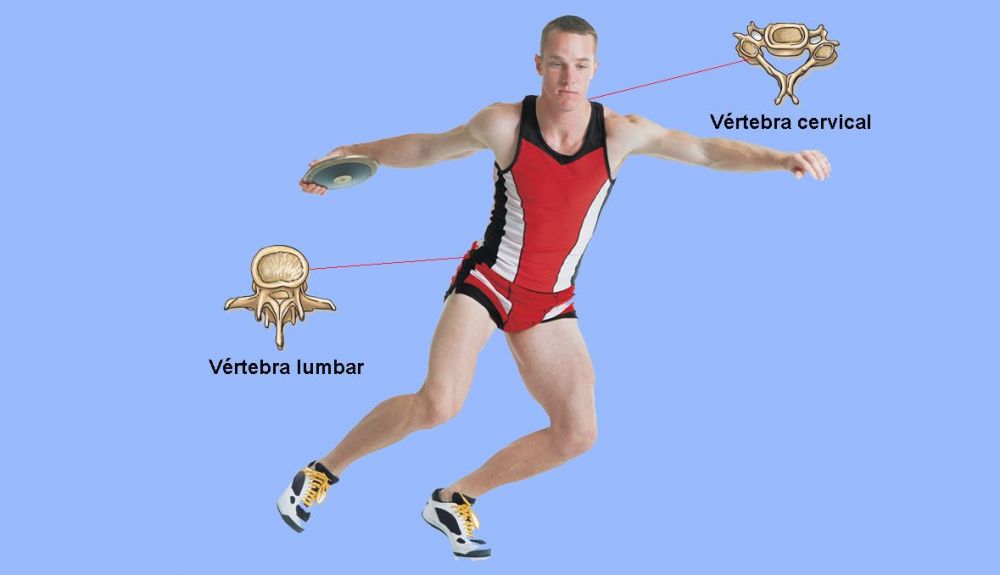 Vertebras Vertebras