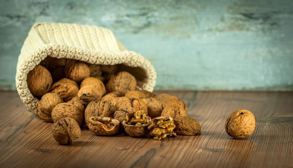 walnuts 1213008 1280