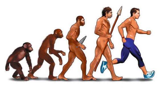 El cuerpo del deportista en movimiento
