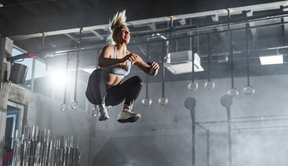 el cuerpo del deportista sistema hormonal