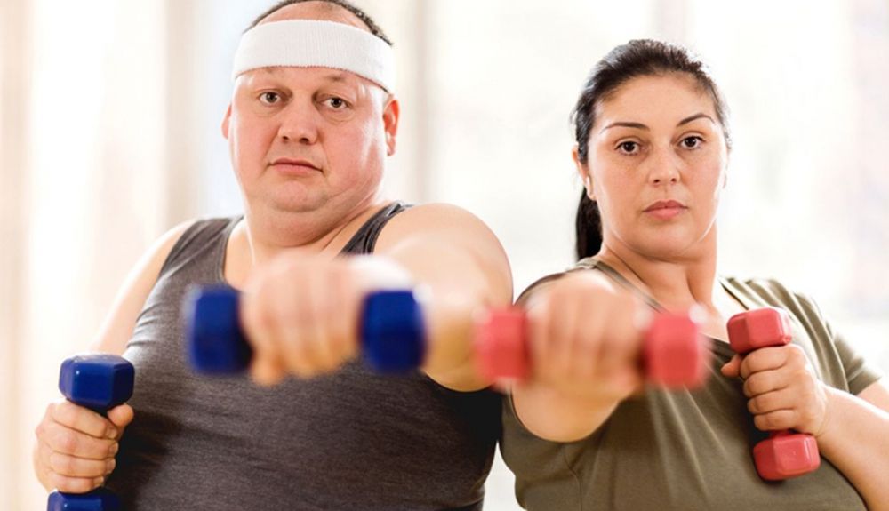 obesidad y rendimiento neuronal obesidad y rendimiento neuronal