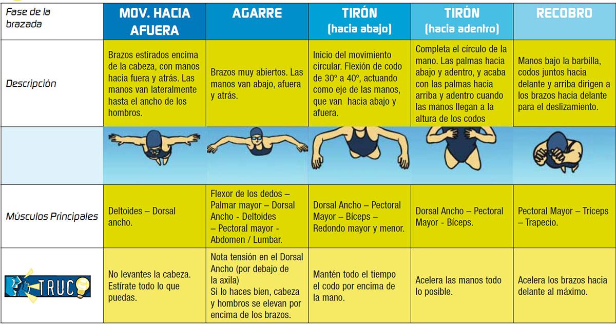 Grafico 1