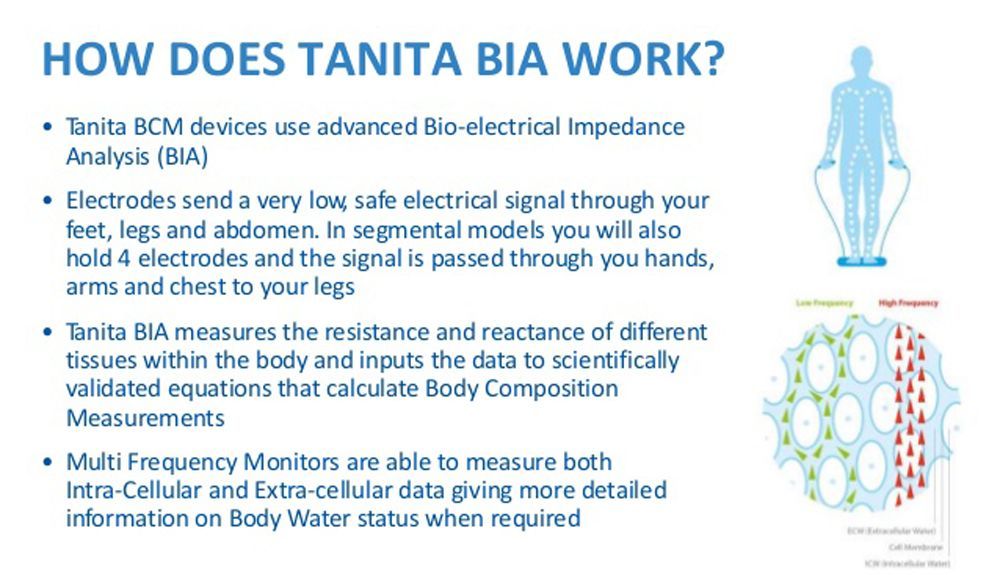 Como funciona la bioimpedancia eléctrica de una báscula