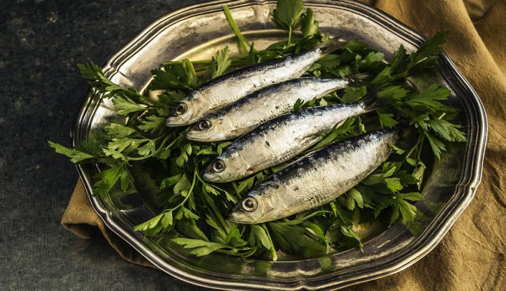 Sardinas Sardinas