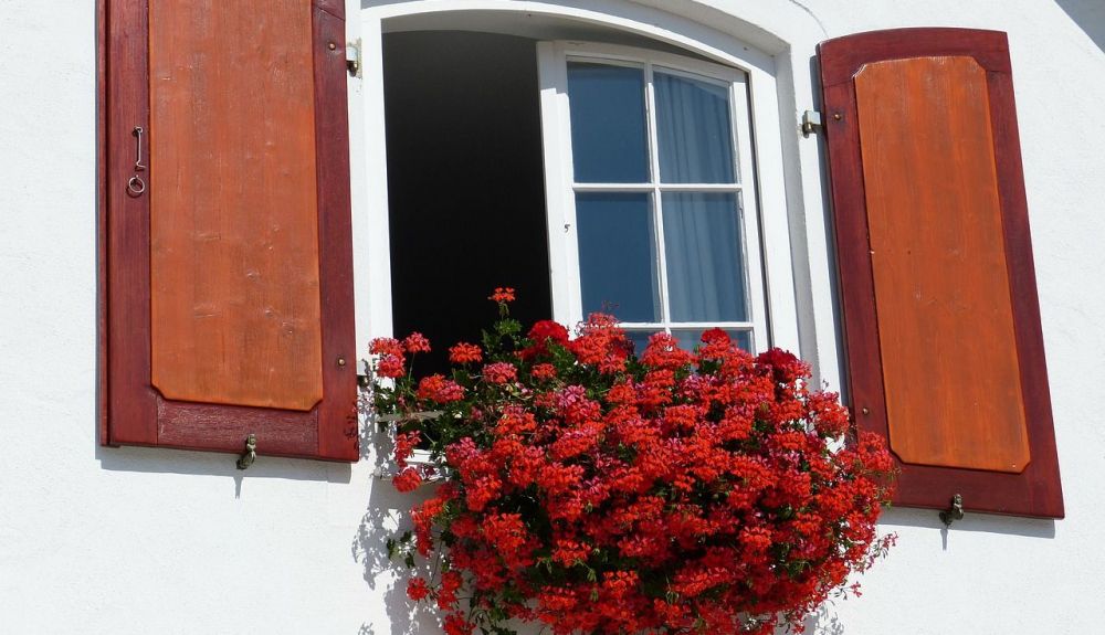 window 189564 1280