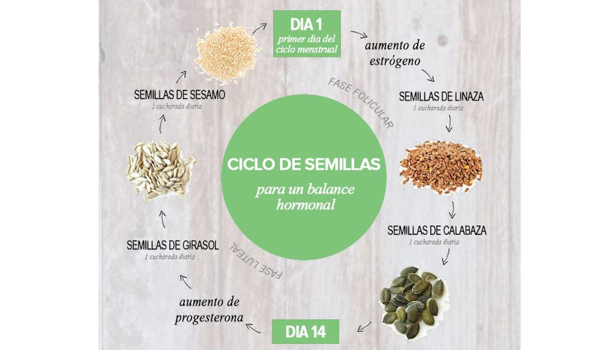 Ciclo de semillas para regular el ciclo menstrual Ciclo de semillas para regular el ciclo menstrual