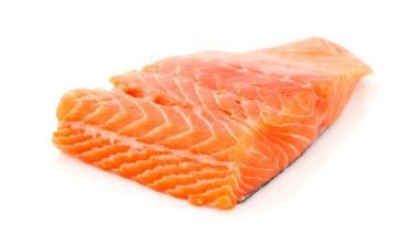 salmon salmon