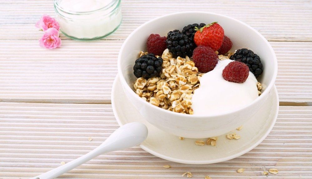 avena avena