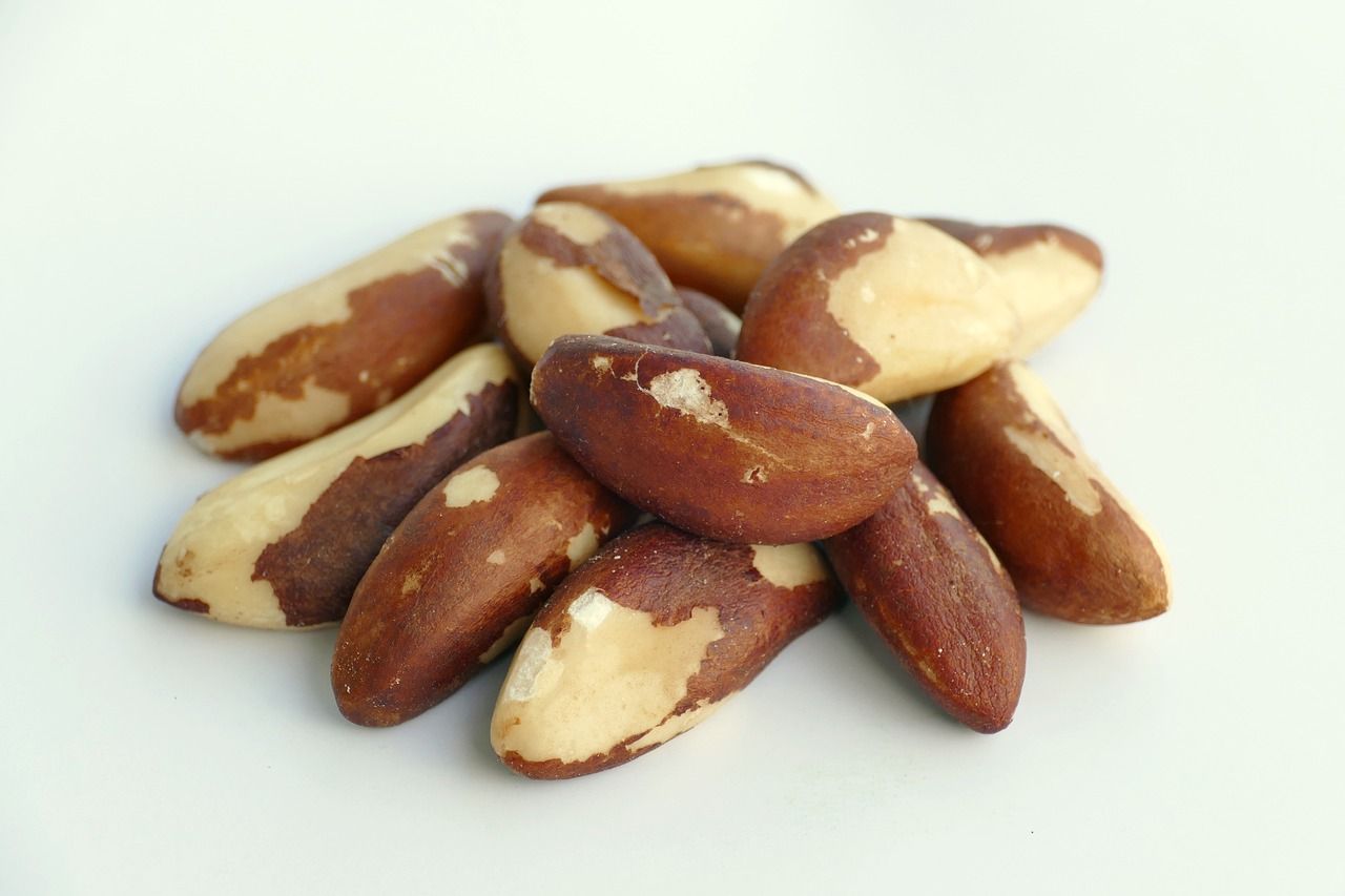 Nueces de Brásil